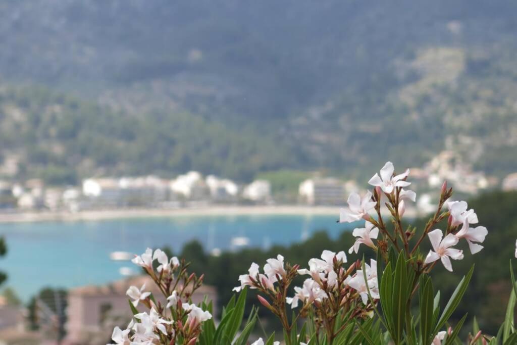 Apartamento en el Puerto de Sóller con gran terraza privada y vistas al mar. Piscina comunitaria. Localizado en un zona tranquila y muy soleada. Wifi gratis disponible. Parking. Exterior foto